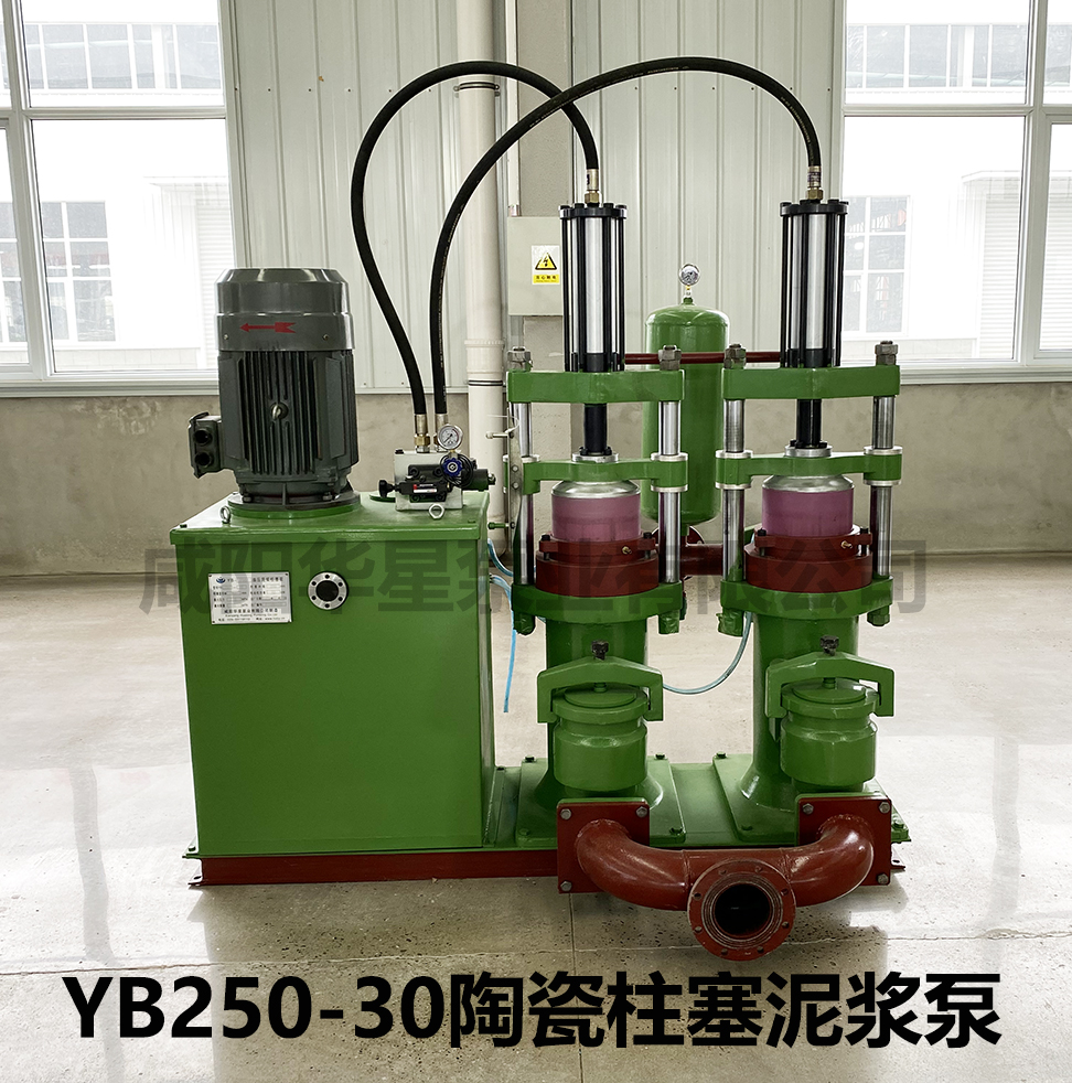 YB250-30陶瓷柱塞泵图片