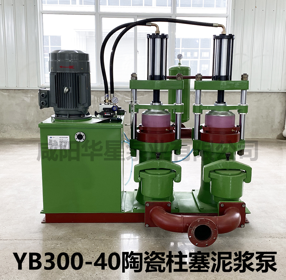 YB300-40陶瓷柱塞泵图片