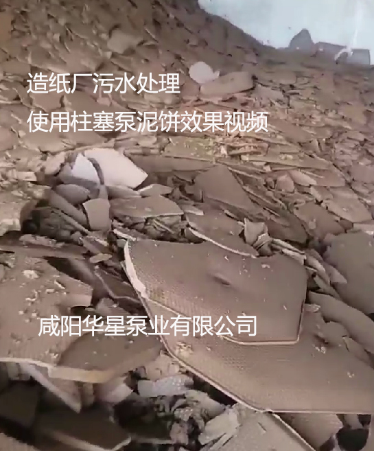 造纸厂污水处理使用柱塞泵泥饼效果视频