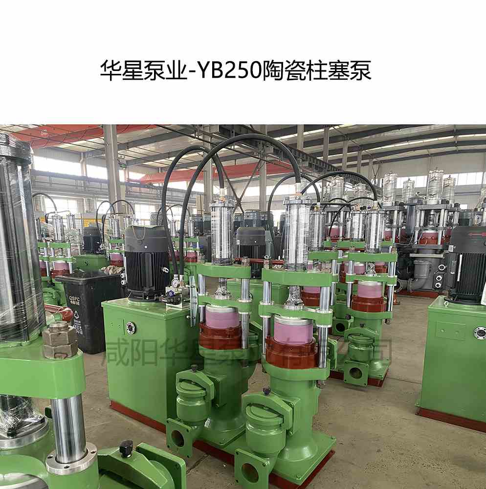 客户给订购一台YB250陶瓷柱塞泵