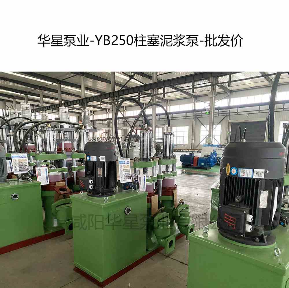 YB250陶瓷柱塞泵产品图片