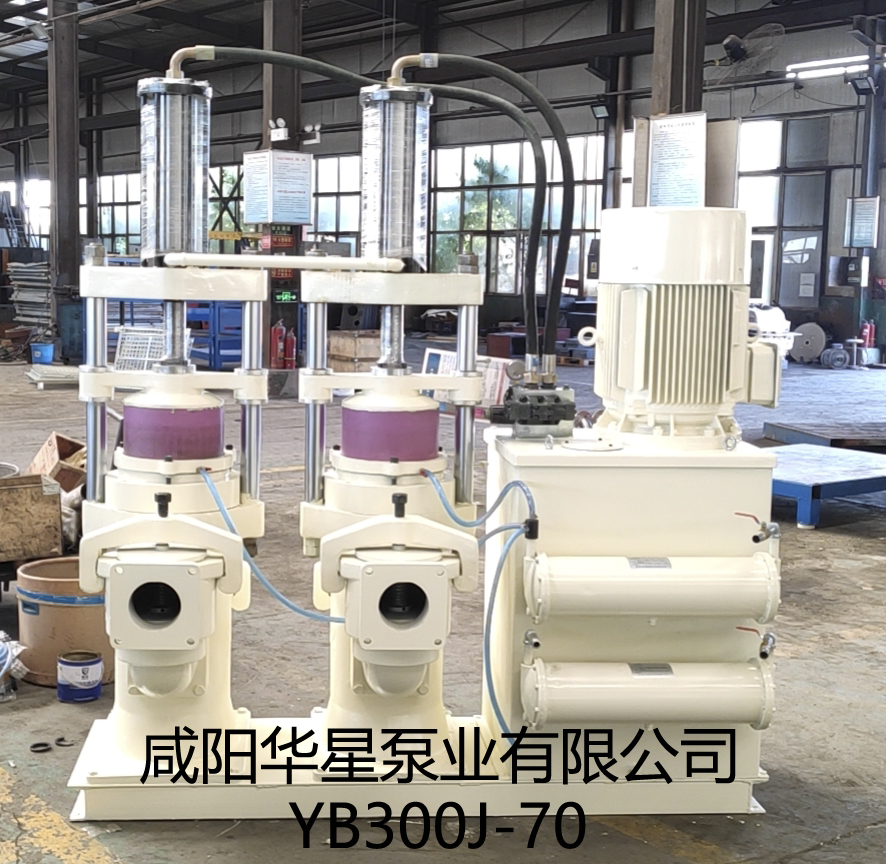 YB300J-70陶瓷柱塞泵产品图片